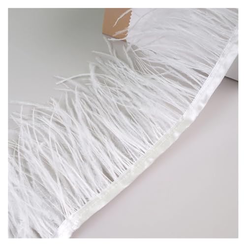 LXLAEOANG 10 Meter Straußenfedern, Fransenbesatz for Handarbeiten und Kunsthandwerk, Federkleid-Zubehör, Federn, Fransen for Kleidung für Nähen Handwerk(Off White) von LXLAEOANG