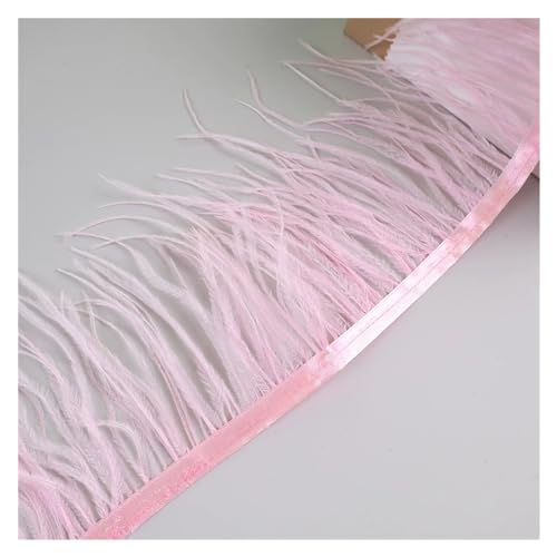 LXLAEOANG 10 Meter Straußenfedern, Fransenbesatz for Handarbeiten und Kunsthandwerk, Federkleid-Zubehör, Federn, Fransen for Kleidung für Nähen Handwerk(Pink) von LXLAEOANG