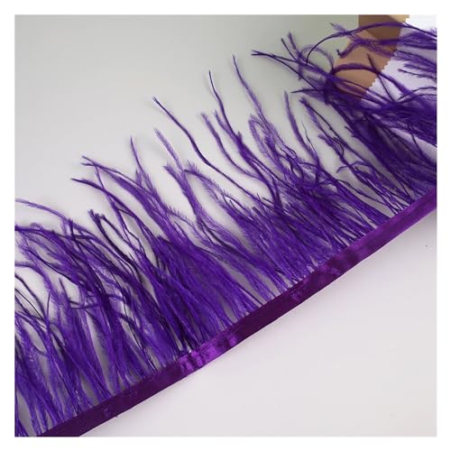 LXLAEOANG 10 Meter Straußenfedern, Fransenbesatz for Handarbeiten und Kunsthandwerk, Federkleid-Zubehör, Federn, Fransen for Kleidung für Nähen Handwerk(Purple) von LXLAEOANG