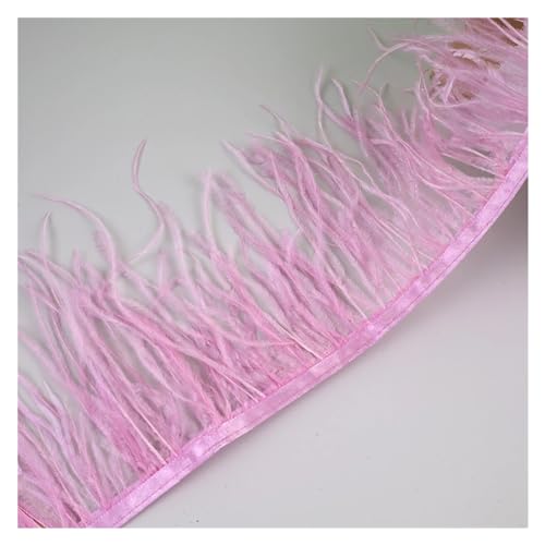 LXLAEOANG 10 Meter Straußenfedern, Fransenbesatz for Handarbeiten und Kunsthandwerk, Federkleid-Zubehör, Federn, Fransen for Kleidung für Nähen Handwerk(Purple pink) von LXLAEOANG