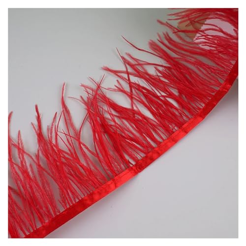 LXLAEOANG 10 Meter Straußenfedern, Fransenbesatz for Handarbeiten und Kunsthandwerk, Federkleid-Zubehör, Federn, Fransen for Kleidung für Nähen Handwerk(Red) von LXLAEOANG