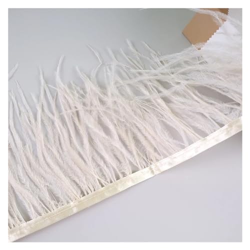 LXLAEOANG 10 Meter Straußenfedern, Fransenbesatz for Handarbeiten und Kunsthandwerk, Federkleid-Zubehör, Federn, Fransen for Kleidung für Nähen Handwerk(Shampagne) von LXLAEOANG