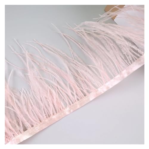 LXLAEOANG 10 Meter Straußenfedern, Fransenbesatz for Handarbeiten und Kunsthandwerk, Federkleid-Zubehör, Federn, Fransen for Kleidung für Nähen Handwerk(Shrimp pink) von LXLAEOANG
