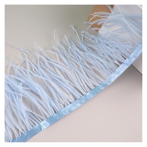 LXLAEOANG 10 Meter Straußenfedern, Fransenbesatz for Handarbeiten und Kunsthandwerk, Federkleid-Zubehör, Federn, Fransen for Kleidung für Nähen Handwerk(Sky Blue) von LXLAEOANG