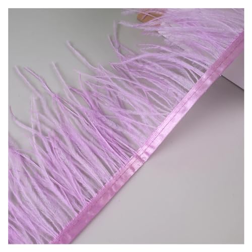 LXLAEOANG 10 Meter Straußenfedern, Fransenbesatz for Handarbeiten und Kunsthandwerk, Federkleid-Zubehör, Federn, Fransen for Kleidung für Nähen Handwerk(Violet) von LXLAEOANG