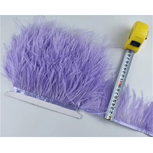 LXLAEOANG 1M 5M 10M 8-10CM Straußenfedern Borten Band Rock DIY Kleidung Straußenfedern for Basteln Federn für Nähen Handwerk(15 Light Purple,5 Meters) von LXLAEOANG