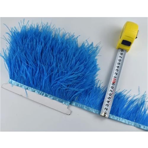 LXLAEOANG 1M 5M 10M 8-10CM Straußenfedern Borten Band Rock DIY Kleidung Straußenfedern for Basteln Federn für Nähen Handwerk(17 Lake Blue,10 Meters) von LXLAEOANG