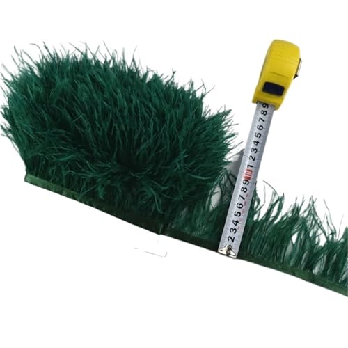 LXLAEOANG 1M 5M 10M 8-10CM Straußenfedern Borten Band Rock DIY Kleidung Straußenfedern for Basteln Federn für Nähen Handwerk(19 Dark Green,10 Meters) von LXLAEOANG
