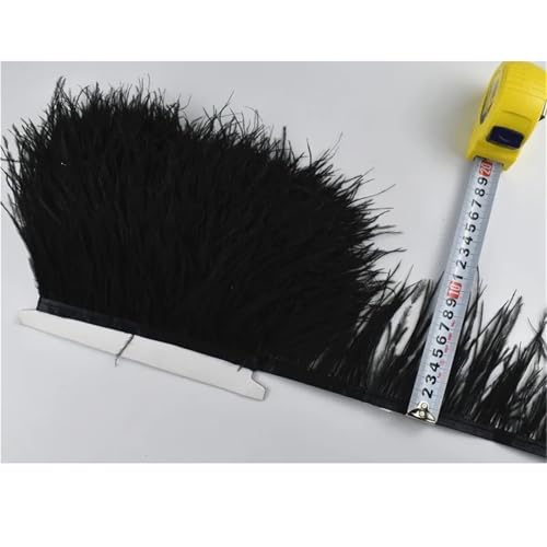 LXLAEOANG 1M 5M 10M 8-10CM Straußenfedern Borten Band Rock DIY Kleidung Straußenfedern for Basteln Federn für Nähen Handwerk(2 Black,1 Meter) von LXLAEOANG