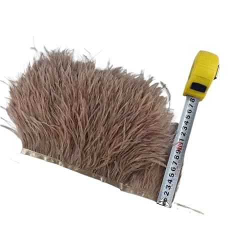 LXLAEOANG 1M 5M 10M 8-10CM Straußenfedern Borten Band Rock DIY Kleidung Straußenfedern for Basteln Federn für Nähen Handwerk(23,10 Meters) von LXLAEOANG