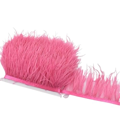LXLAEOANG 1M 5M 10M 8-10CM Straußenfedern Borten Band Rock DIY Kleidung Straußenfedern for Basteln Federn für Nähen Handwerk(28 Red,10 Meters) von LXLAEOANG