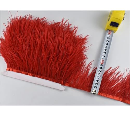 LXLAEOANG 1M 5M 10M 8-10CM Straußenfedern Borten Band Rock DIY Kleidung Straußenfedern for Basteln Federn für Nähen Handwerk(3 Red,10 Meters) von LXLAEOANG