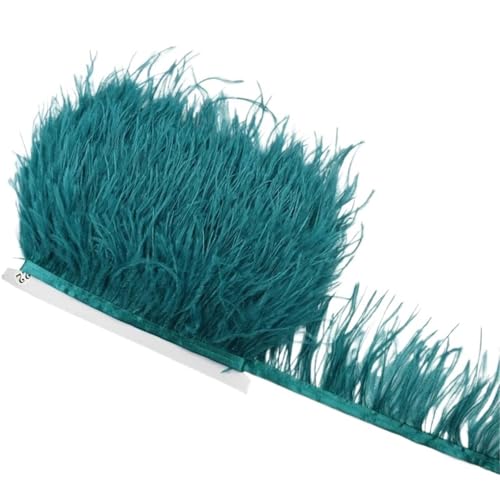 LXLAEOANG 1M 5M 10M 8-10CM Straußenfedern Borten Band Rock DIY Kleidung Straußenfedern for Basteln Federn für Nähen Handwerk(30 Sky Blue,5 Meters) von LXLAEOANG