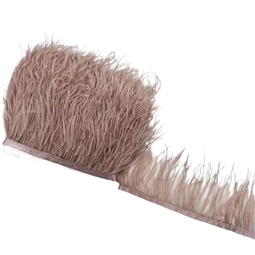 LXLAEOANG 1M 5M 10M 8-10CM Straußenfedern Borten Band Rock DIY Kleidung Straußenfedern for Basteln Federn für Nähen Handwerk(31 Light Brown,5 Meters) von LXLAEOANG
