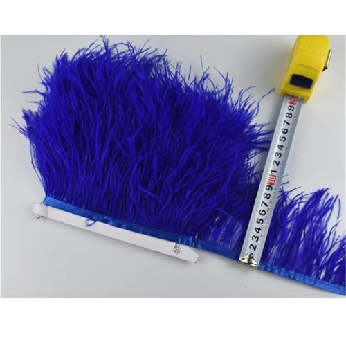 LXLAEOANG 1M 5M 10M 8-10CM Straußenfedern Borten Band Rock DIY Kleidung Straußenfedern for Basteln Federn für Nähen Handwerk(4 Blue,1 Meter) von LXLAEOANG