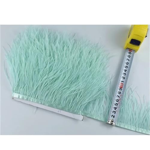 LXLAEOANG 1M 5M 10M 8-10CM Straußenfedern Borten Band Rock DIY Kleidung Straußenfedern for Basteln Federn für Nähen Handwerk(8 Green,10 Meters) von LXLAEOANG