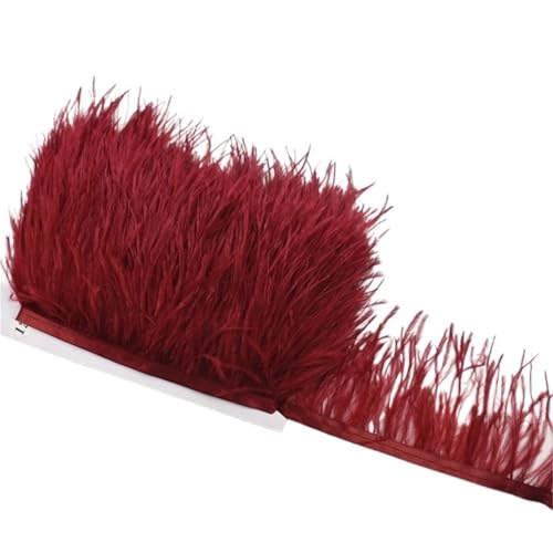 LXLAEOANG 1M 5M 10M 8-10CM Straußenfedern Borten Band Rock DIY Kleidung Straußenfedern for Basteln Federn für Nähen Handwerk(9 Wine red,10 Meters) von LXLAEOANG