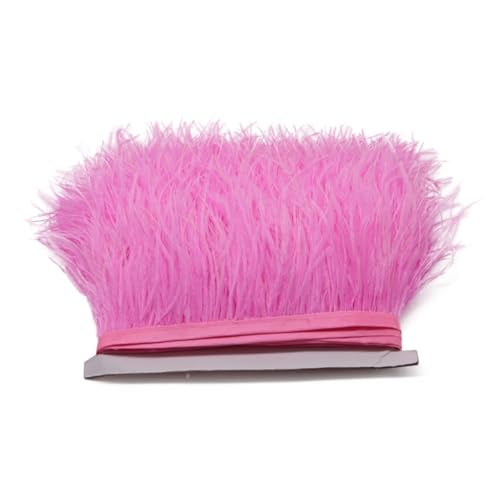 LXLAEOANG 1M 5M 10M 8-10cm Straußenfederborte Band Mehrfarbige Feder for Nähen von Federn Basteln Kleid Kleidung Dekoration für Nähen Handwerk(Dark pink,1m) von LXLAEOANG