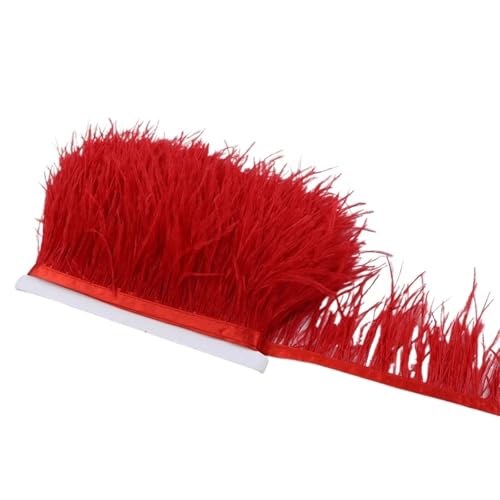 LXLAEOANG 1M 5M 10M 8-10cm Straußenfederborte Band Mehrfarbige Feder for Nähen von Federn Basteln Kleid Kleidung Dekoration für Nähen Handwerk(Red,5M) von LXLAEOANG