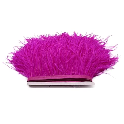 LXLAEOANG 1M 5M 10M 8-10cm Straußenfederborte Band Mehrfarbige Feder for Nähen von Federn Basteln Kleid Kleidung Dekoration für Nähen Handwerk(Rose Red,10m) von LXLAEOANG