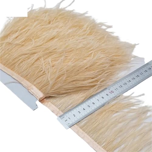 LXLAEOANG 2/5/10 Yards Straußenfederband Straußenfedern Trim Fransen Kleidung Dekoration für Nähen Handwerk(Champagne,2 Yards) von LXLAEOANG