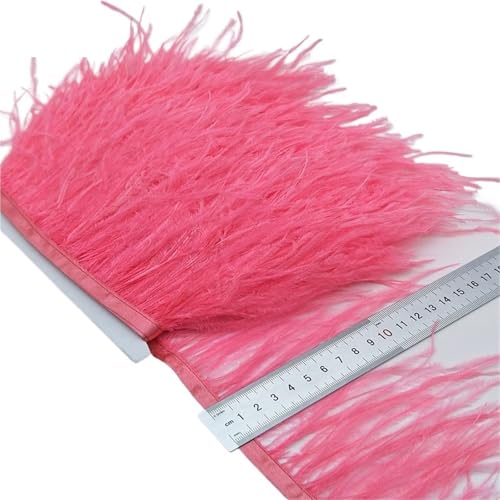 LXLAEOANG 2/5/10 Yards Straußenfederband Straußenfedern Trim Fransen Kleidung Dekoration für Nähen Handwerk(Color3,5 Yards) von LXLAEOANG