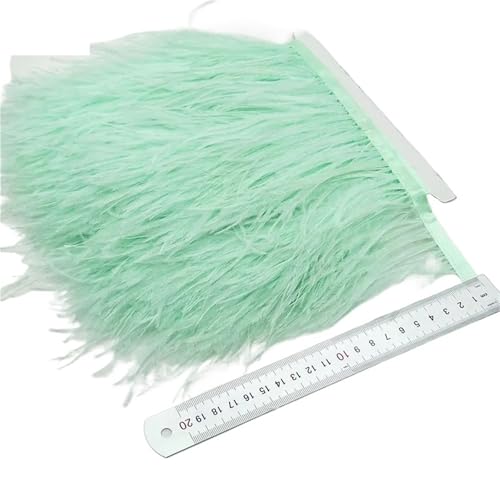 LXLAEOANG 2/5/10 Yards Straußenfederband Straußenfedern Trim Fransen Kleidung Dekoration für Nähen Handwerk(Mint Green,10 Yards) von LXLAEOANG