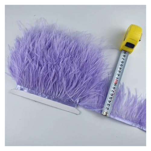 LXLAEOANG 2 Meter echte Straußenfedern, Fransen, Straußenfedern for Kleidung, Bandbesatz, Federrock, Federdekoration für Nähen Handwerk(Colour 15) von LXLAEOANG