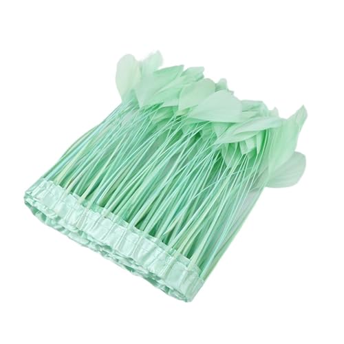 LXLAEOANG 2 m farbige Gänsefedern for Hochzeit, Schmuck, Kleid, Dekorationen, Fransen, Kleidung, DIY, Kunsthandwerk, Karneval, Party, gefärbte Federn für Nähen Handwerk(Green) von LXLAEOANG