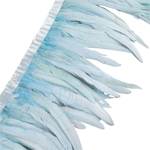 LXLAEOANG 25–30 cm Hahnenfederbesatz, Hühnerfedern, Besatz, Hahnenschwanzfeder, Band, Kleid, Rock, Kostüm, Karneval, Dekoration für Nähen Handwerk(10,10 Yards) von LXLAEOANG