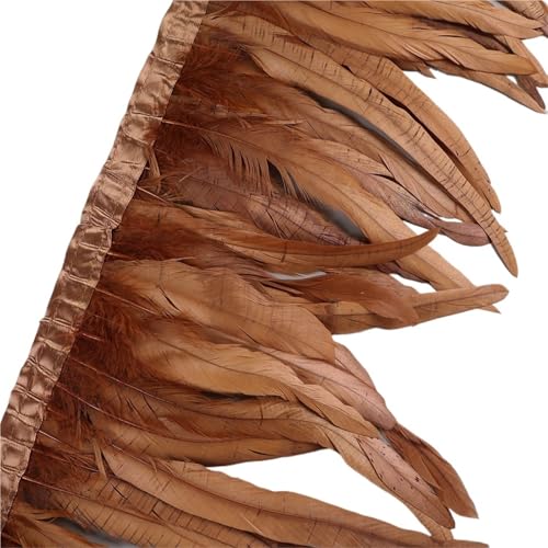 LXLAEOANG 25–30 cm Hahnenfederbesatz, Hühnerfedern, Besatz, Hahnenschwanzfeder, Band, Kleid, Rock, Kostüm, Karneval, Dekoration für Nähen Handwerk(21,10 Yards) von LXLAEOANG