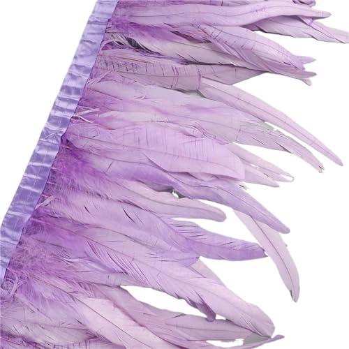 LXLAEOANG 25–30 cm Hahnenfederbesatz, Hühnerfedern, Besatz, Hahnenschwanzfeder, Band, Kleid, Rock, Kostüm, Karneval, Dekoration für Nähen Handwerk(5,10 Yards) von LXLAEOANG