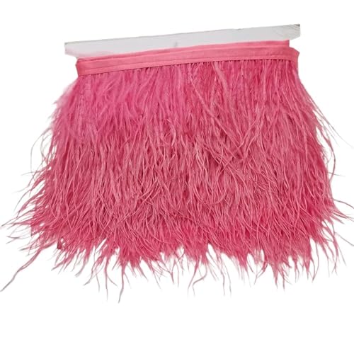 LXLAEOANG 5/10 Yards Straußenfederband, Länge 8–10 cm, Federbesatz, Fransen, DIY-Kostüme, Nähen, Kleidungszubehör für Nähen Handwerk(C27,10 Yards) von LXLAEOANG