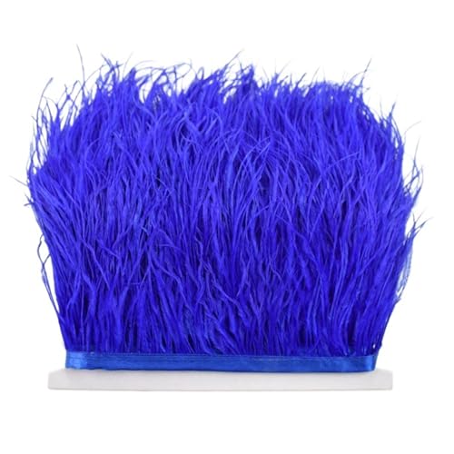 LXLAEOANG 8–10 cm Straußenfederbesatz for Handarbeiten und Kunsthandwerk, Federrockdekoration, Federn, Bandfransen für Nähen Handwerk(Blue,1Meter) von LXLAEOANG