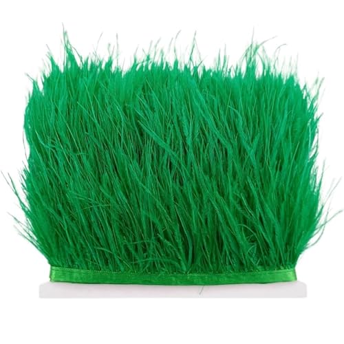 LXLAEOANG 8–10 cm Straußenfederbesatz for Handarbeiten und Kunsthandwerk, Federrockdekoration, Federn, Bandfransen für Nähen Handwerk(Grass Green,10Meters) von LXLAEOANG