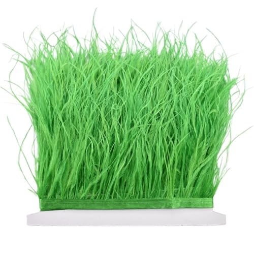 LXLAEOANG 8–10 cm Straußenfederbesatz for Handarbeiten und Kunsthandwerk, Federrockdekoration, Federn, Bandfransen für Nähen Handwerk(Green,5Meters) von LXLAEOANG