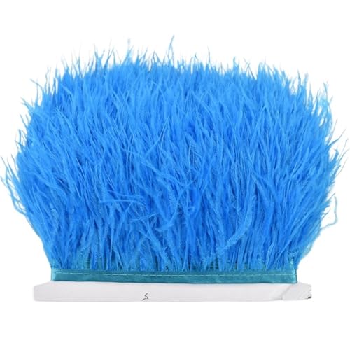 LXLAEOANG 8–10 cm Straußenfederbesatz for Handarbeiten und Kunsthandwerk, Federrockdekoration, Federn, Bandfransen für Nähen Handwerk(Lake Blue,10Meters) von LXLAEOANG