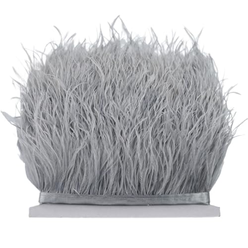 LXLAEOANG 8–10 cm Straußenfederbesatz for Handarbeiten und Kunsthandwerk, Federrockdekoration, Federn, Bandfransen für Nähen Handwerk(Light Grey,1Meter) von LXLAEOANG