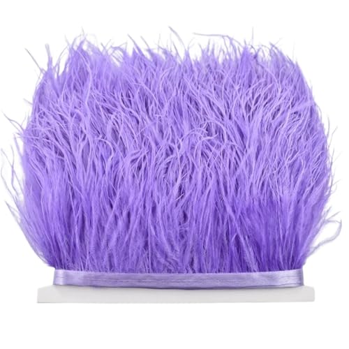 LXLAEOANG 8–10 cm Straußenfederbesatz for Handarbeiten und Kunsthandwerk, Federrockdekoration, Federn, Bandfransen für Nähen Handwerk(Light Purple,10Meters) von LXLAEOANG