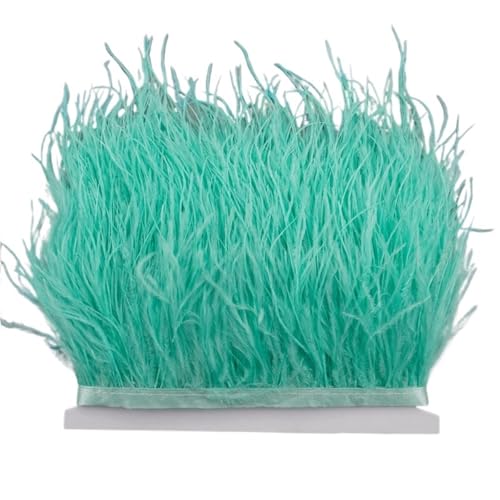LXLAEOANG 8–10 cm Straußenfederbesatz for Handarbeiten und Kunsthandwerk, Federrockdekoration, Federn, Bandfransen für Nähen Handwerk(Mint Green,5Meters) von LXLAEOANG