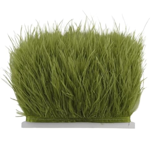LXLAEOANG 8–10 cm Straußenfederbesatz for Handarbeiten und Kunsthandwerk, Federrockdekoration, Federn, Bandfransen für Nähen Handwerk(Olive Green,5Meters) von LXLAEOANG