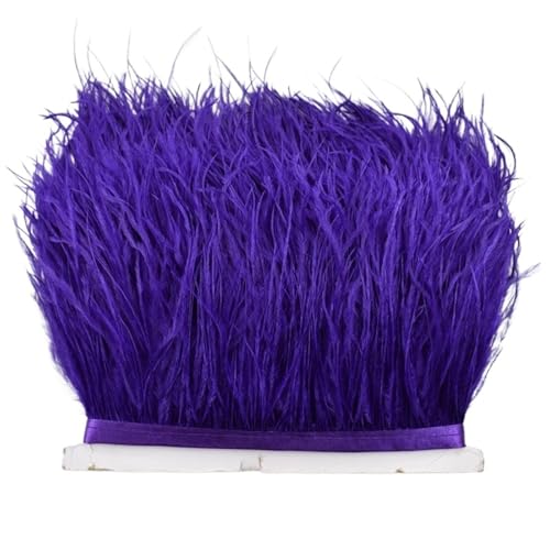 LXLAEOANG 8–10 cm Straußenfederbesatz for Handarbeiten und Kunsthandwerk, Federrockdekoration, Federn, Bandfransen für Nähen Handwerk(Purple,10Meters) von LXLAEOANG