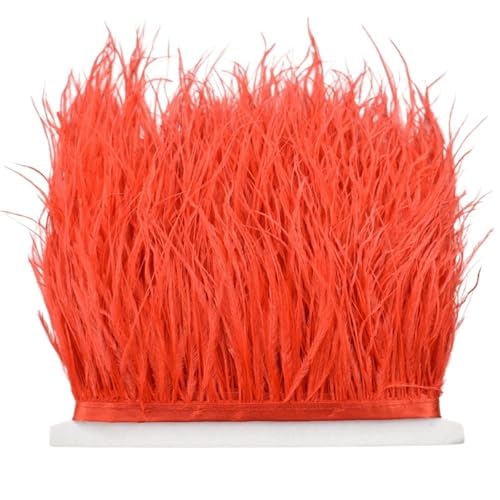 LXLAEOANG 8–10 cm Straußenfederbesatz for Handarbeiten und Kunsthandwerk, Federrockdekoration, Federn, Bandfransen für Nähen Handwerk(Red,10Meters) von LXLAEOANG