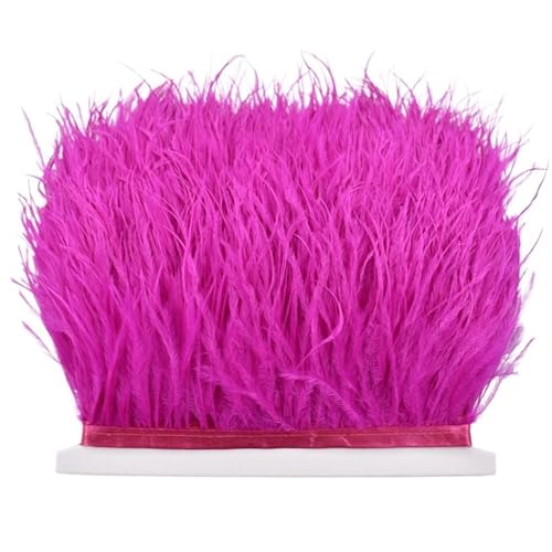 LXLAEOANG 8–10 cm Straußenfederbesatz for Handarbeiten und Kunsthandwerk, Federrockdekoration, Federn, Bandfransen für Nähen Handwerk(Rose red,10Meters) von LXLAEOANG