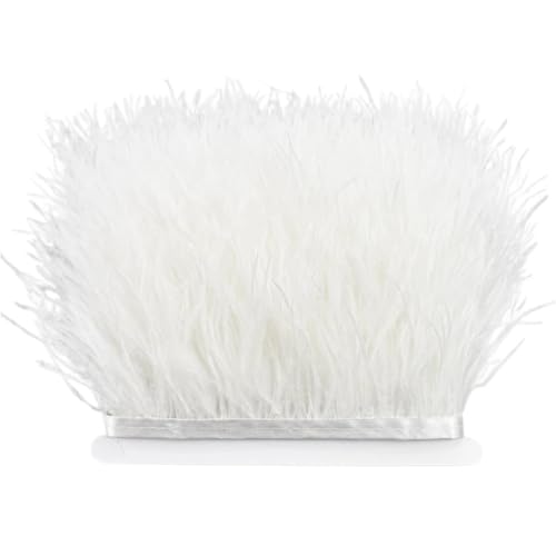 LXLAEOANG 8–10 cm Straußenfederbesatz for Handarbeiten und Kunsthandwerk, Federrockdekoration, Federn, Bandfransen für Nähen Handwerk(White,10Meters) von LXLAEOANG