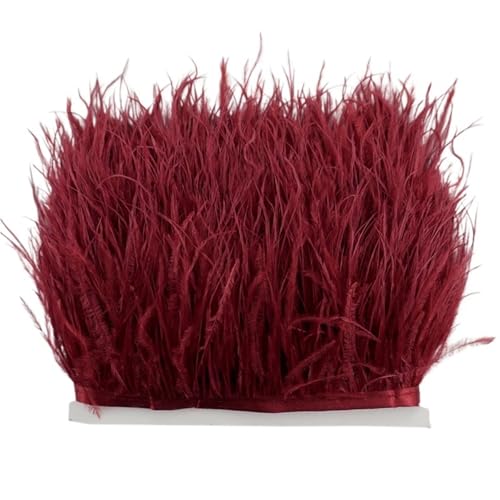 LXLAEOANG 8–10 cm Straußenfederbesatz for Handarbeiten und Kunsthandwerk, Federrockdekoration, Federn, Bandfransen für Nähen Handwerk(Wine red,1Meter) von LXLAEOANG