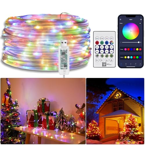 20M RGBIC Lichterkette mit Farbwechsel, Wasserdichte LED Lichterketten mit IR Fernbedienung & APP, USB Musiksynchronisations LED Lichtschlauch, Flexibles LED Lights für Garten,Balkon,Weihnachten,Party 20M RGBIC Lichterkette mit Farbwechsel, Wasserdichte LED Lichterketten mit IR Fernbedienung & APP, USB Musiksynchronisations LED Lichtschlauch, Flexibles LED Lights für Garten,Balkon,Weihnachten,Party von LXLQZXW