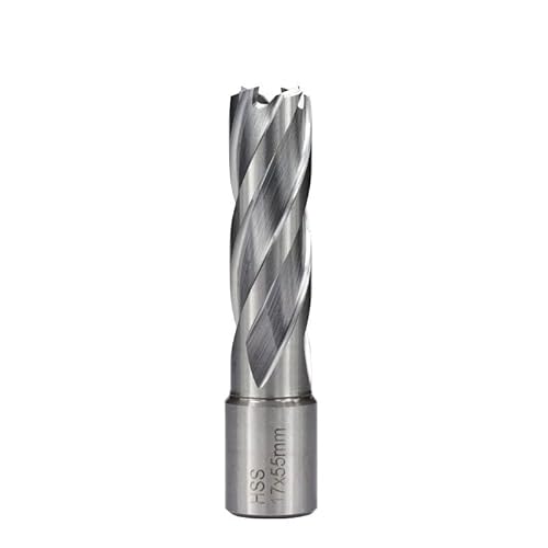 1 STÜCK HSS Ringschneider 12/16/19/20/23/25/30/42mm Kernbohrer Weldon Schaft Lochsäge Hohlbohrer for Metall Bohrwerkzeuge (Color : 17x55mm) von LXURY
