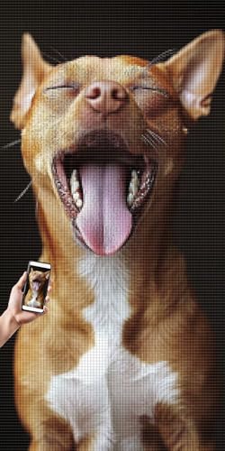Diamond Painting Eigenes Foto, Diamond Painting Personalisiert Selbst Gestalten Privatfoto, Runder/Quadratischer Diamant Bilder, Benutzerdefinierte Malen Nach Zahlen Eigenes Bild, 80x160cm, I-037 Diamond Painting Eigenes Foto, Diamond Painting Personalisiert Selbst Gestalten Privatfoto, Runder/Quadratischer Diamant Bilder, Benutzerdefinierte Malen Nach Zahlen Eigenes Bild, 80x160cm, I-037 von LXingzun