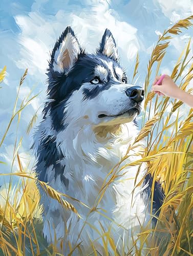 Diamond Painting Erwachsene, Diamant Painting Bilder Hund 60x80 cm, DIY Cross Stickerei Diamant Malerei Kits für Erwachsene und Kinder, Mosaikherstellung Bastelset für Zimmer Deko Wohnzimmer, T-30 Diamond Painting Erwachsene, Diamant Painting Bilder Hund 60x80 cm, DIY Cross Stickerei Diamant Malerei Kits für Erwachsene und Kinder, Mosaikherstellung Bastelset für Zimmer Deko Wohnzimmer, T-30 von LXingzun